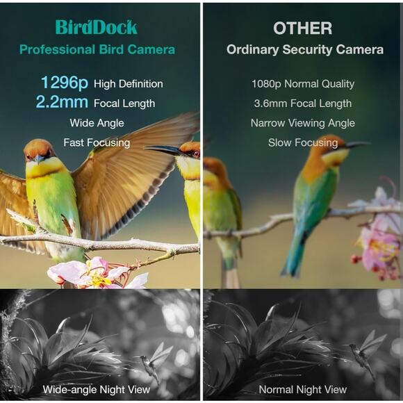 BirdDock Smart Solar Powered Bird Feeder with Camera (Reg.$210) - Picture 9 of 14